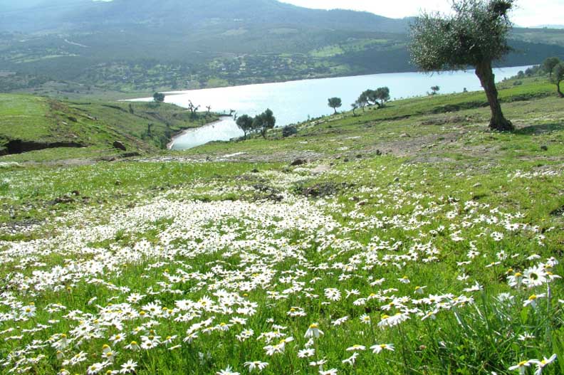 El Mouradi Hammam Bourguiba 