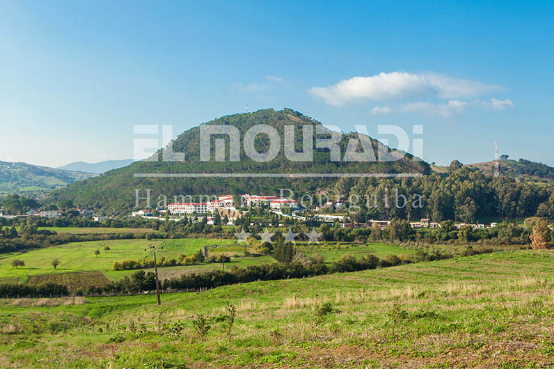 Les Villas de Hammam Bourguiba
