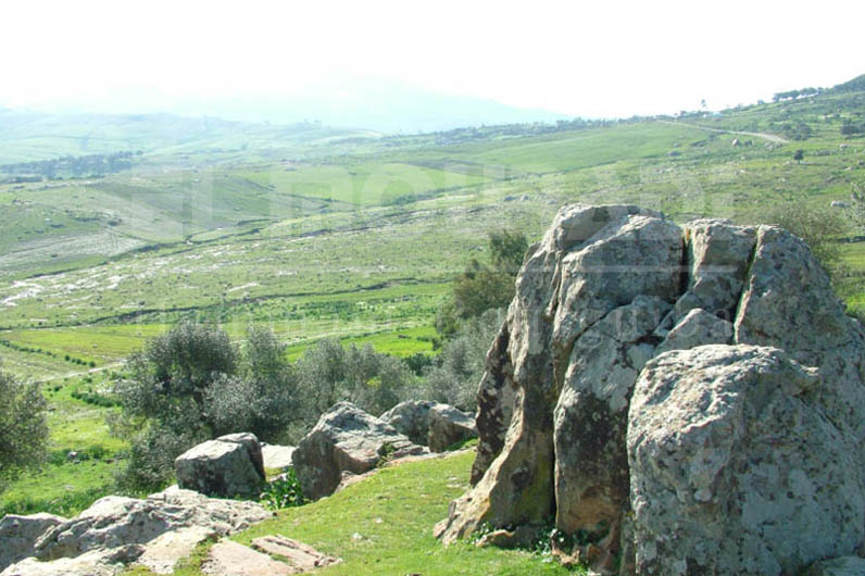 El Mouradi Hammam Bourguiba 